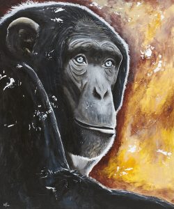 Singe chimpanze songeur fond jaune orange yeux bleu gris contraste lumière peinture acrylique texture
